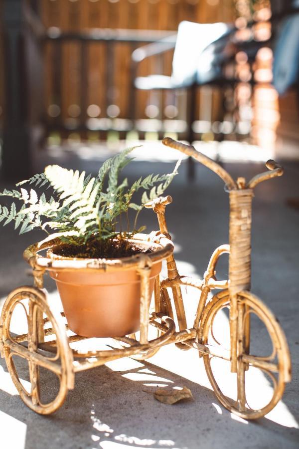Wynkoop At Carlton: Taste Of Europe, Walk To Wineries, Dog Friendly Villa Eksteriør billede